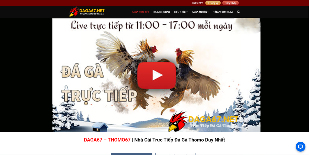 Daga67 Homepage