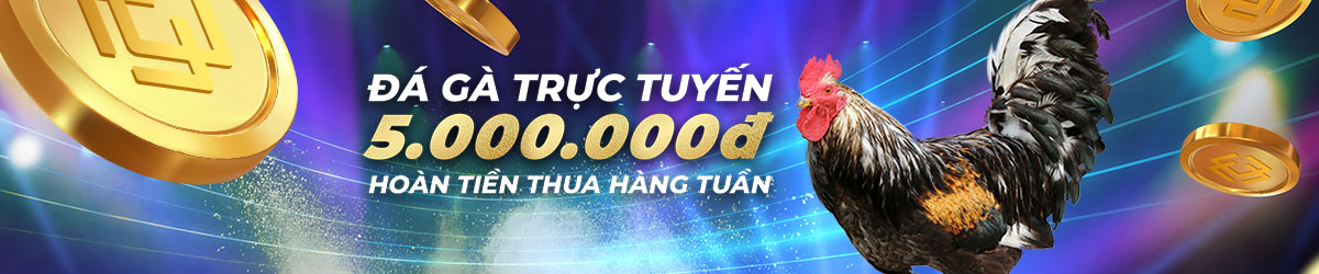 xemtructiepdaga.net Hoàn tiền 3.88% hàng tuần tại Đá Gà