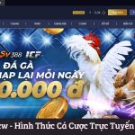 Đá gà Mcw – Hình Thức Cá Cược Trực Tuyến Hấp Dẫn